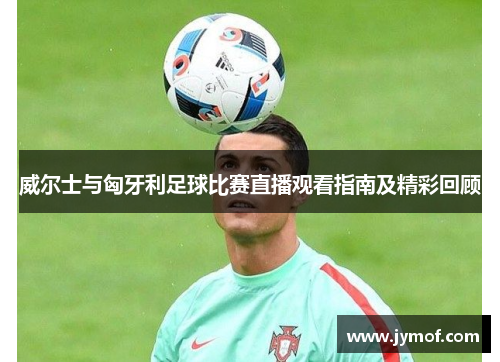 威尔士与匈牙利足球比赛直播观看指南及精彩回顾